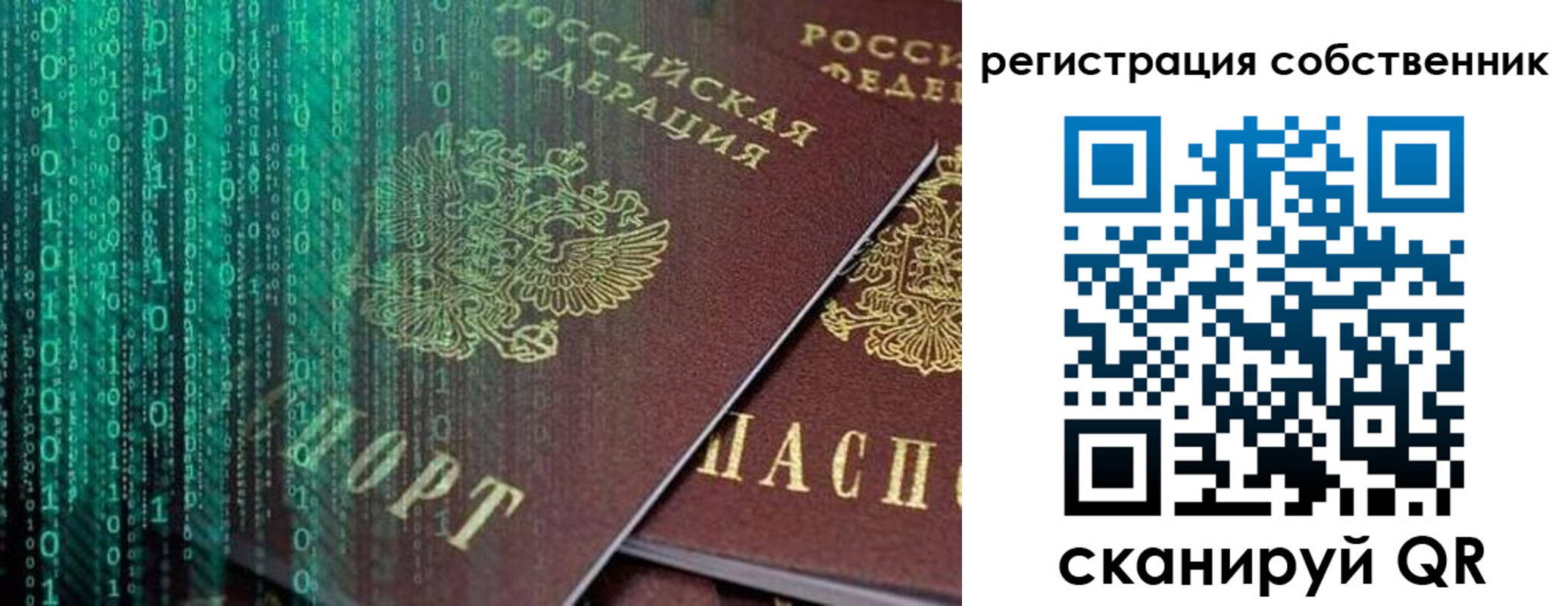 прописка поиск в Шебекино